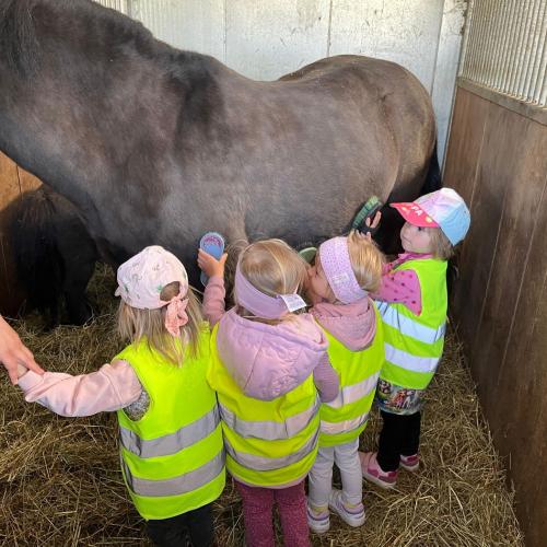Kinder im Stall