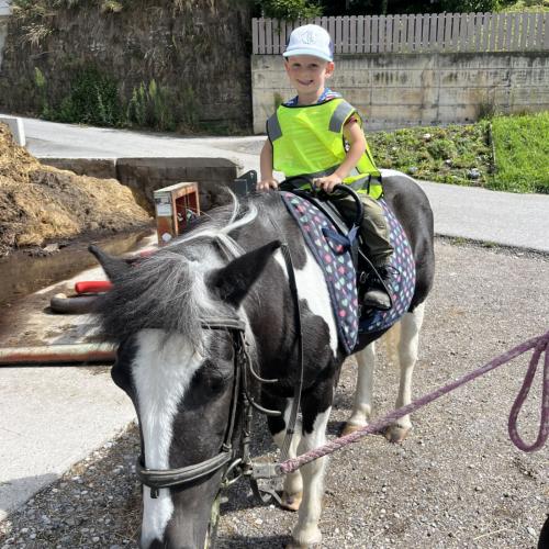 Kind auf Pferd