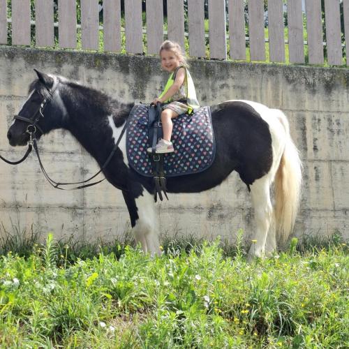 Kind auf Pferd